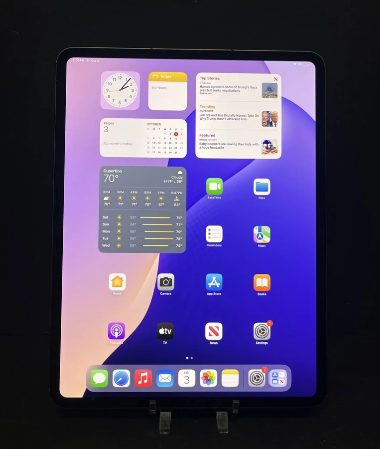 iPad Pro 11" M4 256GB WiFi+Cell - good condition, w/ case + new Leather Sleeve